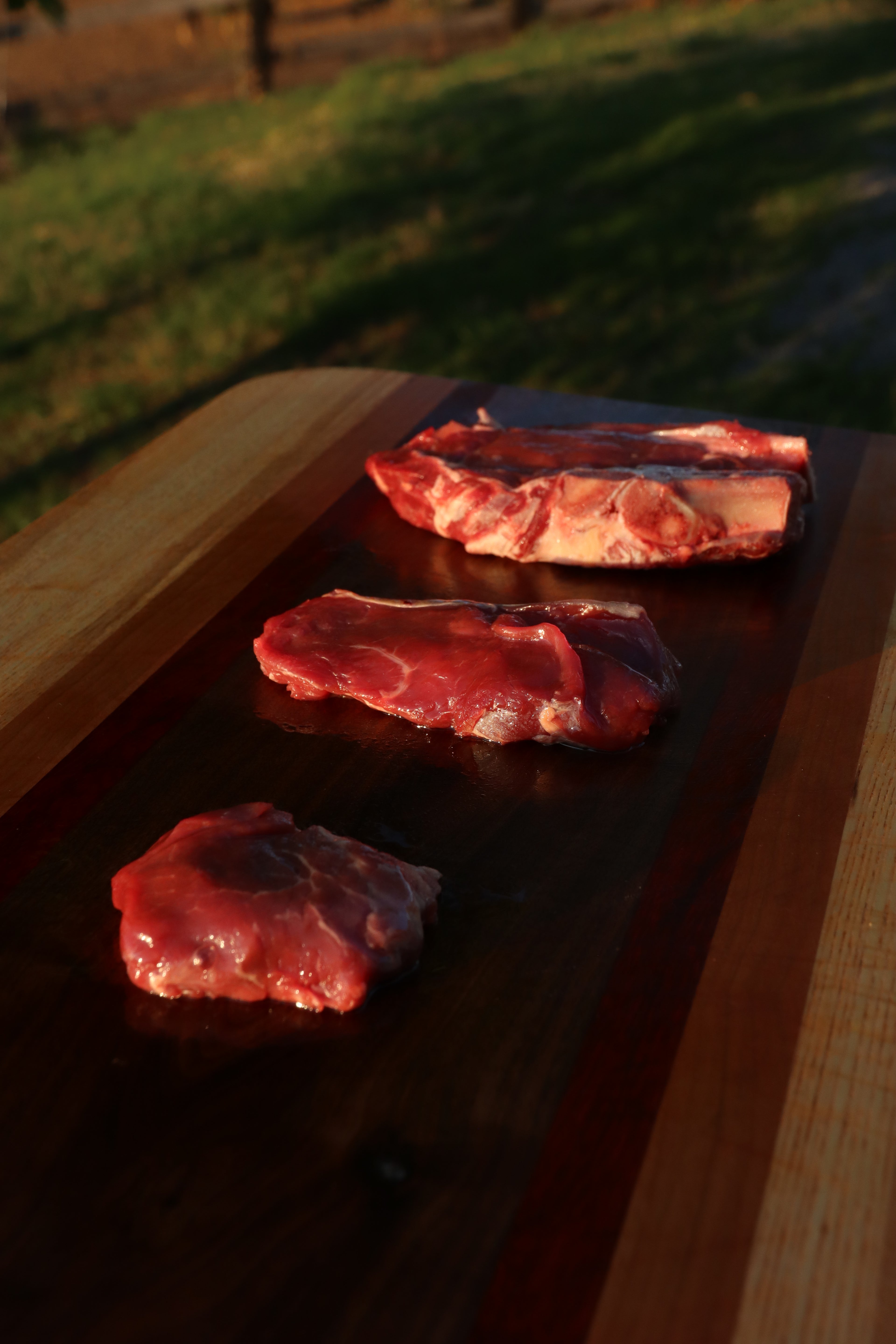 Pasture Raised - Grass Fed and Finished - Heritage Breed - AMD Beef Filet Mignon